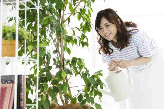 東京で人気の盆栽販売店と盆栽鉢の種類や形の選び方について 盆栽 Com