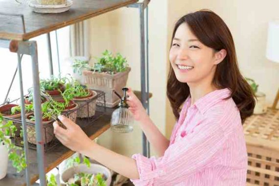 埼玉で盆栽を入手するための盆栽販売所ベスト3 盆栽 Com